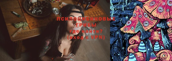 тгк Алексеевка