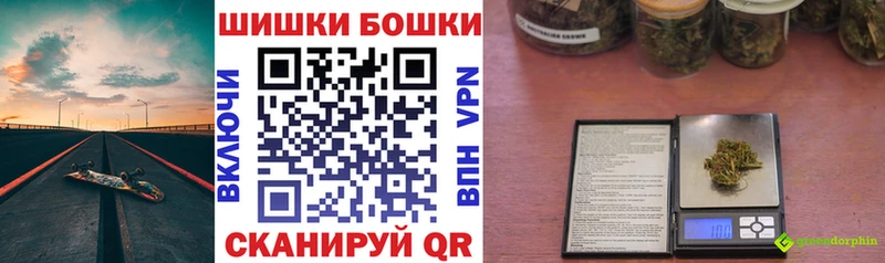 Бошки Шишки гибрид  закладка  Гаджиево 